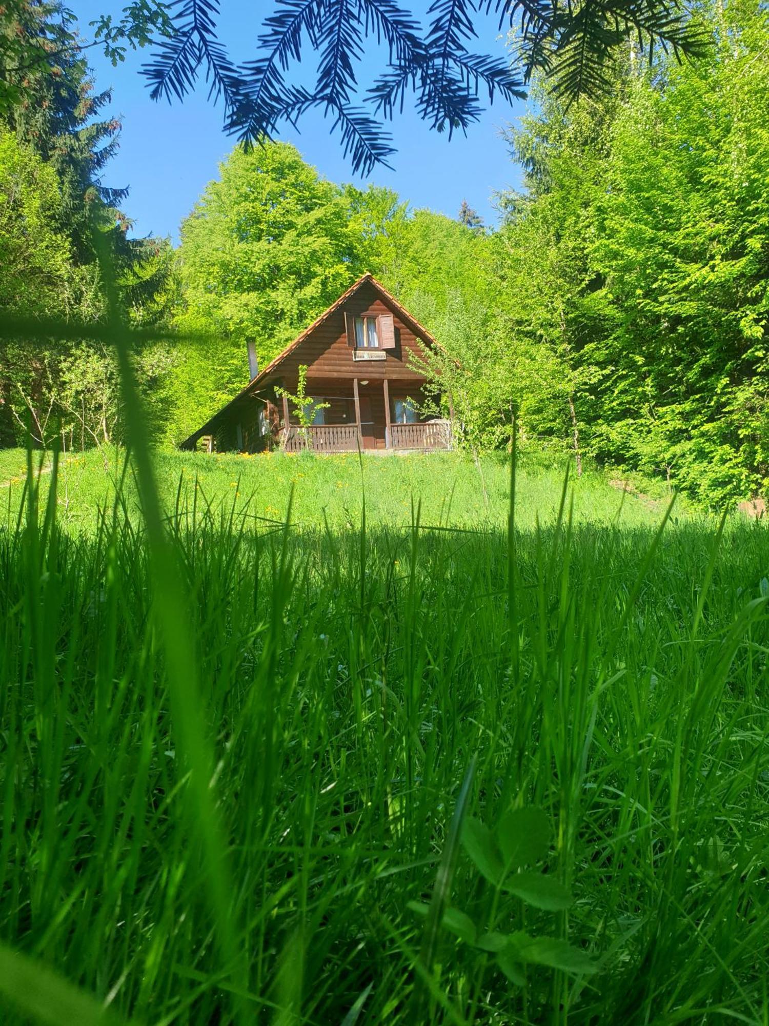 Casa Lacramioara Villa Simbata de Sus Luaran gambar