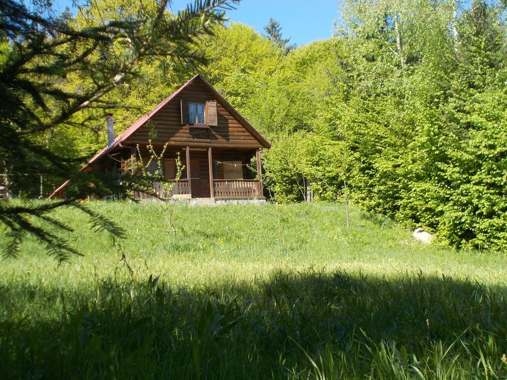 Casa Lacramioara Villa Simbata de Sus Luaran gambar