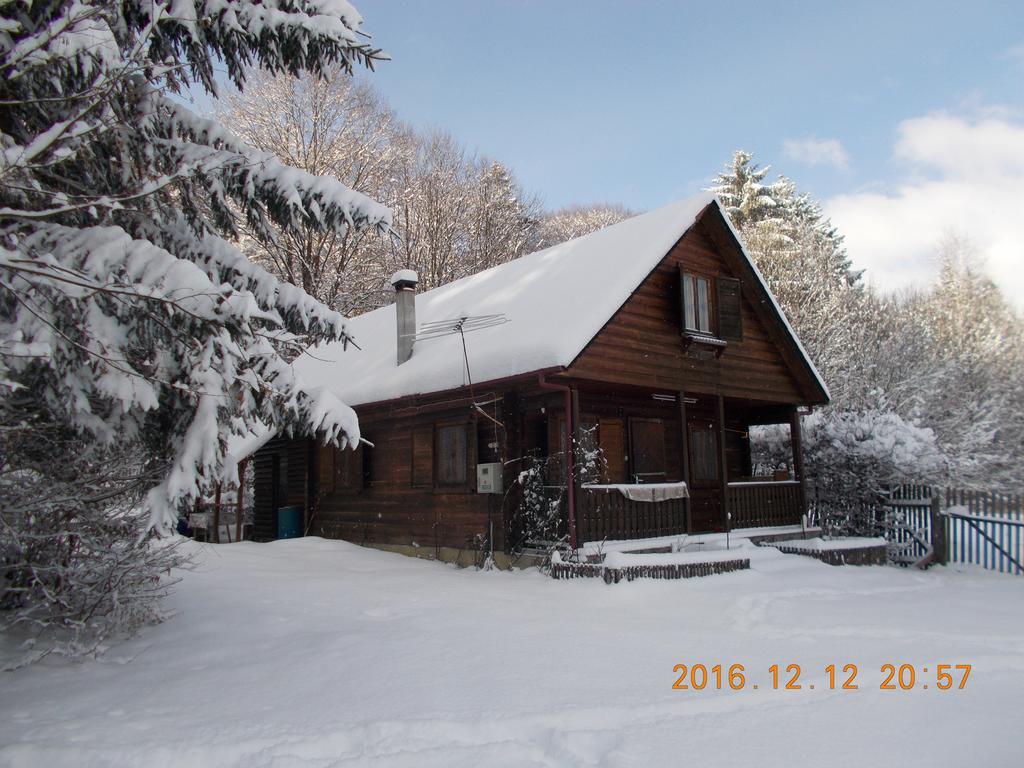 Casa Lacramioara Villa Simbata de Sus Luaran gambar